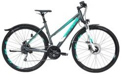 Bulls Cross Street Disc 2019