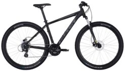 Bulls Wildtail-2 Disc-29 Zoll 2022