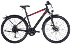 Bulls Street Flyer 2022