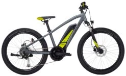 Bulls Twenty4 8-Gang 24 Zoll 2022