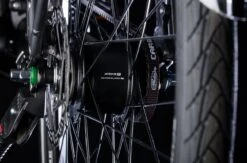 Bulls Lacuba-Evo Lite 5-Gang 2019 -Shimano Verkäufe Inter5