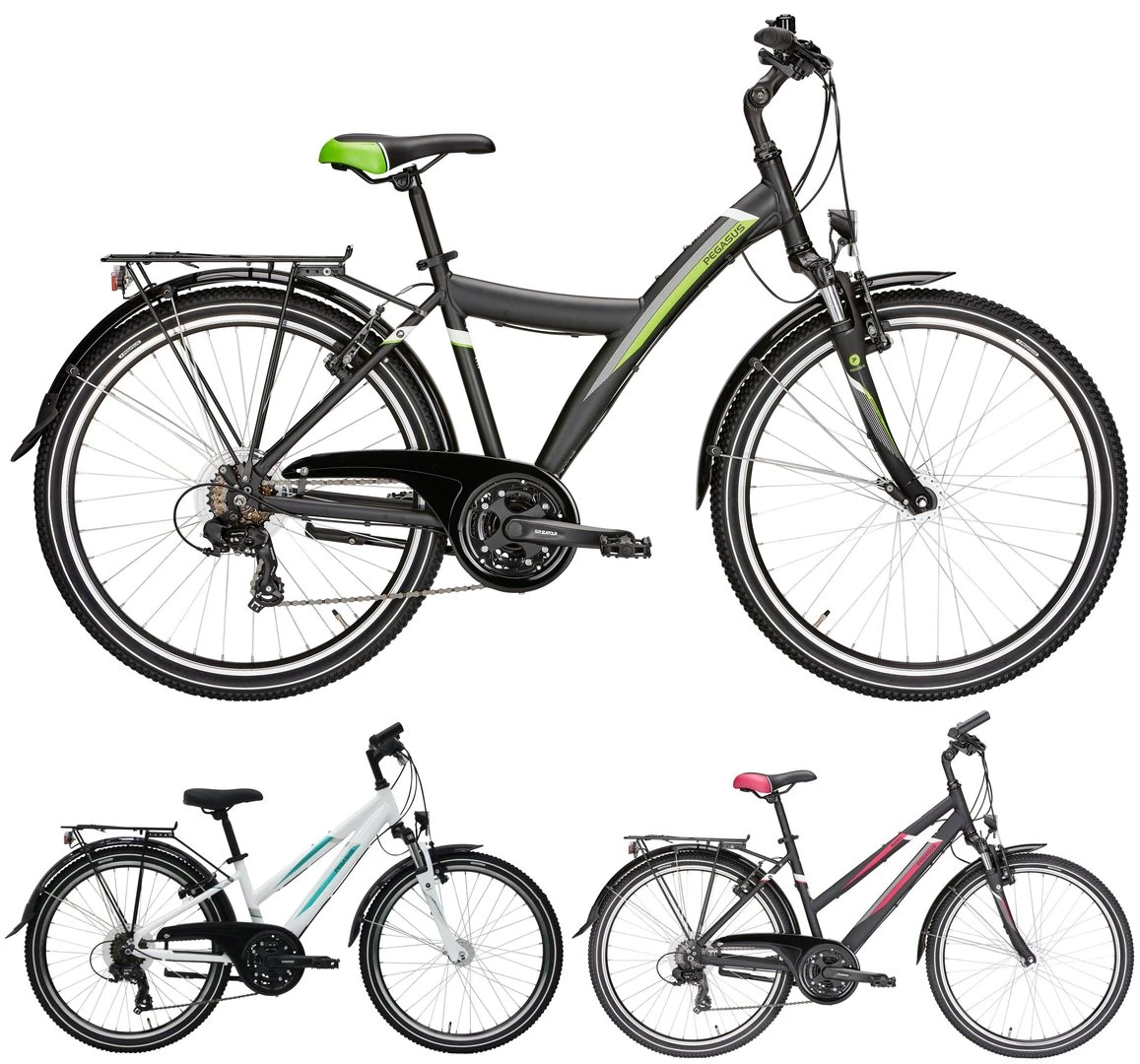 Pegasus Avanti 2019 21-Gang 1 Pegasus Avanti 2019 21-Gang