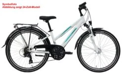 Pegasus Avanti 2019 21-Gang 8 Pegasus Avanti 2019 21-Gang -Shimano Verkäufe Pegasus Avanti 2019 26 Zoll Damen Trapez weiss schwarz tuerkis gruen 596 74238 596 74244