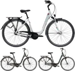 Pegasus Piazza 2020/2021 7-Gang