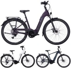 Pegasus Premio-Evo-11 "40 Years" 750 2022