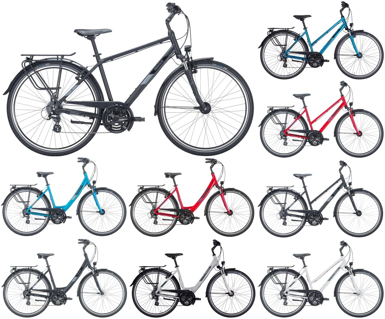 Pegasus Solero SL 2023 24-Gang 1 Pegasus Solero SL 2023 24-Gang