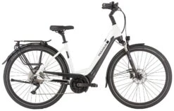 Pegasus Strong-Evo-10 2022 7 Pegasus Strong-Evo-10 2022 -Shimano Verkäufe Pegasus Strong Evo 10 2022 Tiefeinstieg Unisex Damen Wave metallic off white black matt weiss schwarz 644 645 646 55845 55850 55855 55860