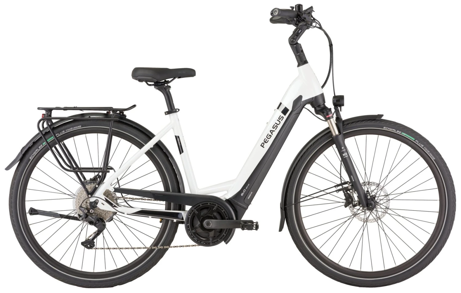 Pegasus Strong-Evo-10 2022 4 Pegasus Strong-Evo-10 2022 – Bild 4