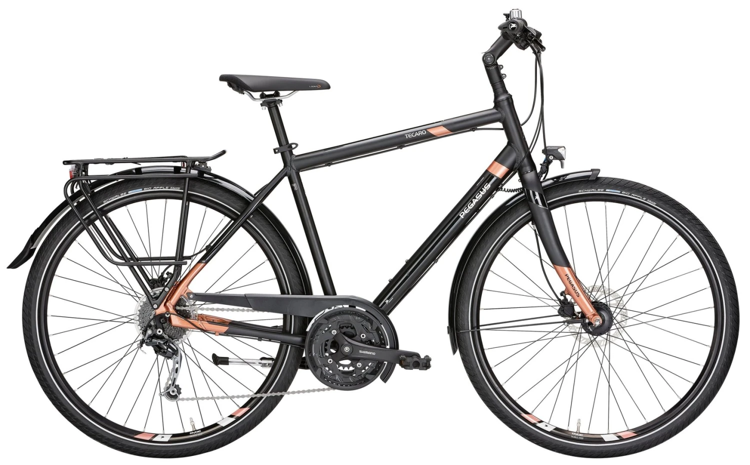 Pegasus Tecaro SL 2018 27-Gang 2 Pegasus Tecaro SL 2018 27-Gang – Bild 2