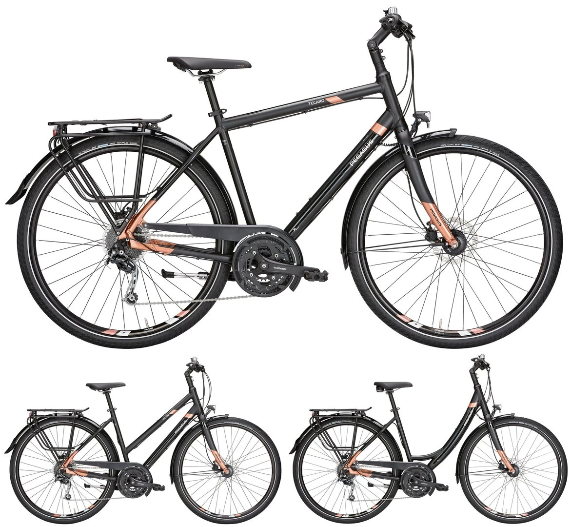 Pegasus Tecaro SL 2018 27-Gang 1 Pegasus Tecaro SL 2018 27-Gang